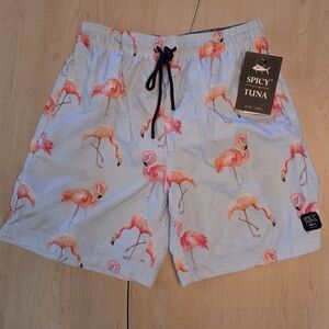 Spicy Tuna Flamingo Pattern Swim Trunks - Light Blue and Pink